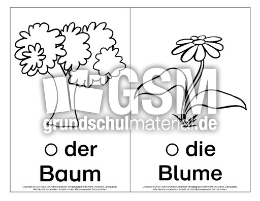 Bild-Wort-Karten-Natur-sw.pdf